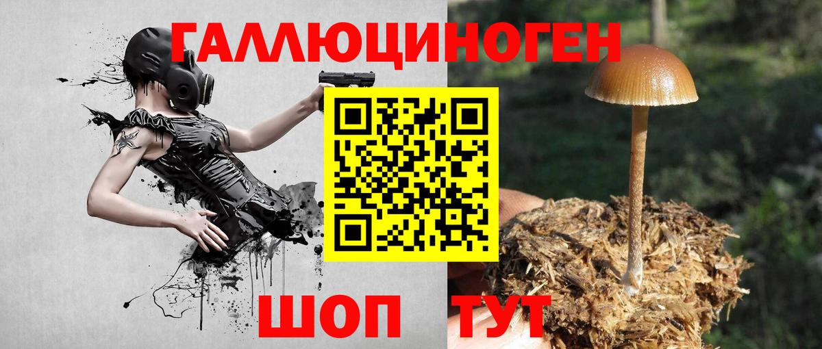 Галлюциногенные грибы MAGIC MUSHROOMS  Вход с VPN  Усинск 
